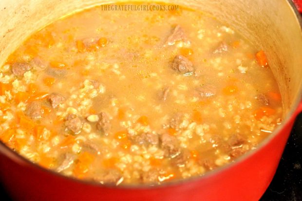 Beef and barley soup simmering in red soup pot