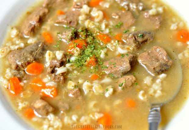 Soup with beef, carrots and barley in white bowl