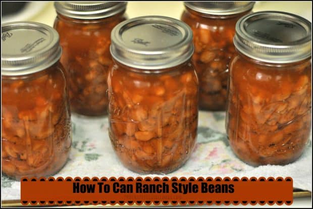 Ranch style beans are a perfect "grab and go" side dish for chicken, hamburger, hot dogs, etc. Learn how to make and can them for long term storage!