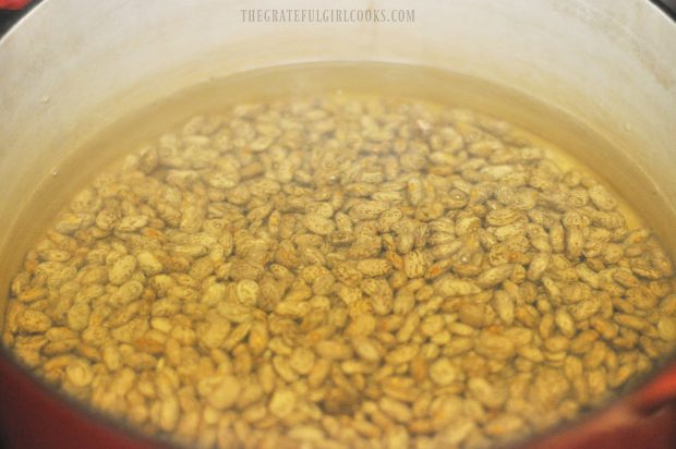 Pinto beans soak in water before cooking them.
