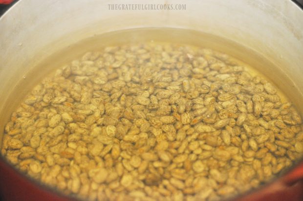 Dried beans must be soaked in water before cooking.