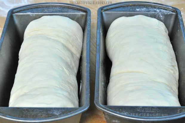 2 bread pans with white dough in them resting