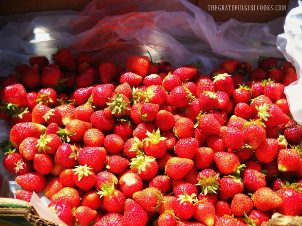 Fresh picked strawberries for jam