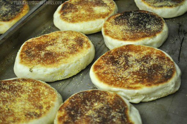 Finished English muffins on baking sheet.