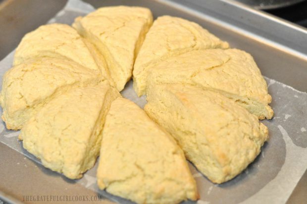 Lemon cream scones, freshly baked and out of oven