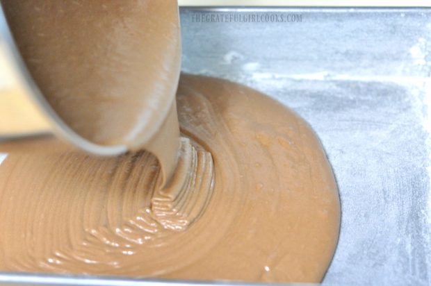 Mom's chocolate cake batter poured into pan