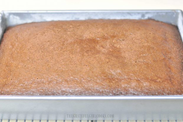 Baked chocolate cake, in pan on wire rack, cooling down