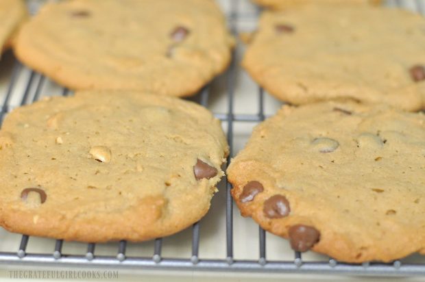 Peanut Butter Chocolate Chip n' Nut Cookies / The Grateful Girl Cooks!