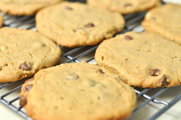 Peanut Butter Chocolate Chip n' Nut Cookies / The Grateful Girl Cooks!