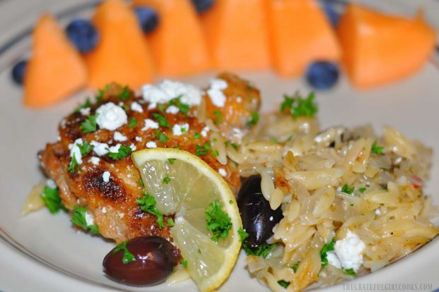 The chicken and orzo, served on a plate with fresh cantaloupe and blueberries on the side.