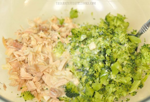 Chicken and Broccoli Alfredo Stuffed Shells / The Grateful Girl Cooks!