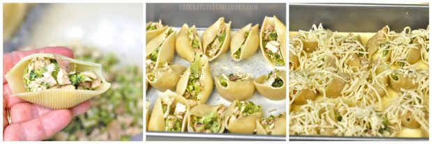 Chicken and Broccoli Alfredo Stuffed Shells / The Grateful Girl Cooks!