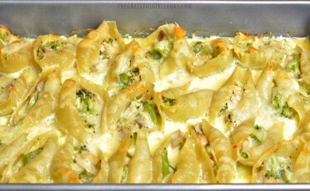 Chicken and Broccoli Alfredo Stuffed Shells / The Grateful Girl Cooks!