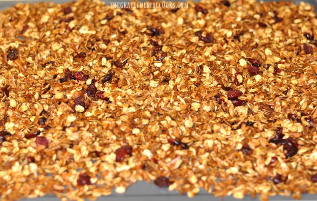 Gingerbread Granola is done baking, and dried cranberries are added to mixture.