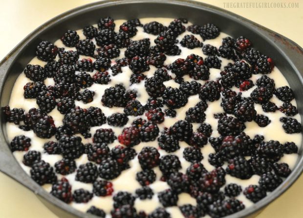 Fresh blackberries are added to the top of the cobbler batter.