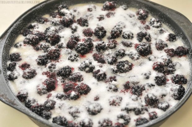 The blackberry cobbler is sprinkled with sugar before baking.