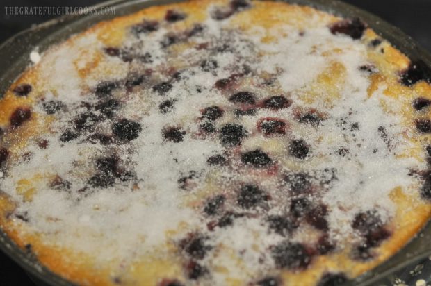 More sugar is sprinkled on the blackberry cobbler partway through the baking time.