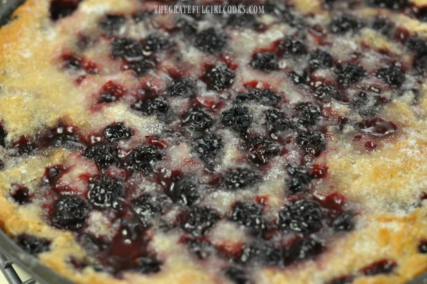 The cobbler is finished baking, and cools down before slicing.