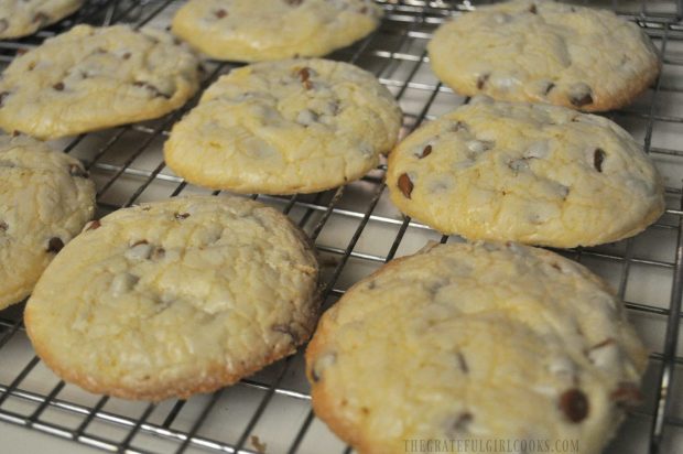 Cinnamon chip cookies, cooling on wire rack after baking.