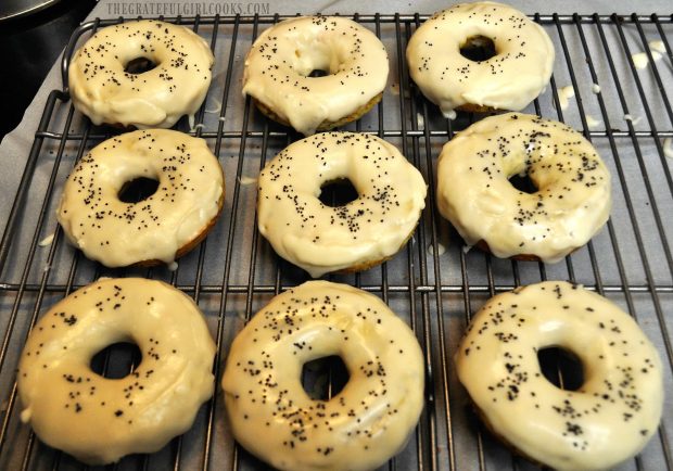 Glazed Lemon Poppy Seed Doughnuts / The Grateful Girl Cooks!