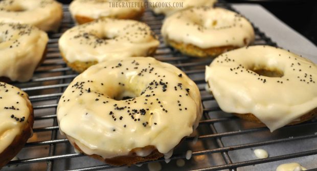 Glazed Lemon Poppy Seed Doughnuts / The Grateful Girl Cooks!