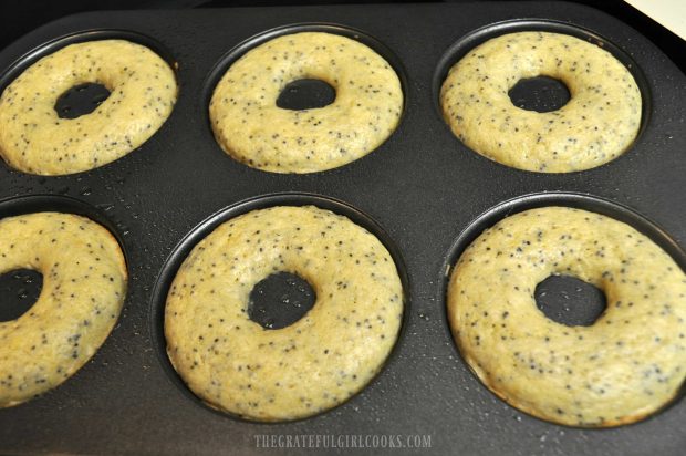 Glazed Lemon Poppy Seed Doughnuts / The Grateful Girl Cooks!