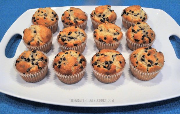 12 muffins on white serving tray with blue background