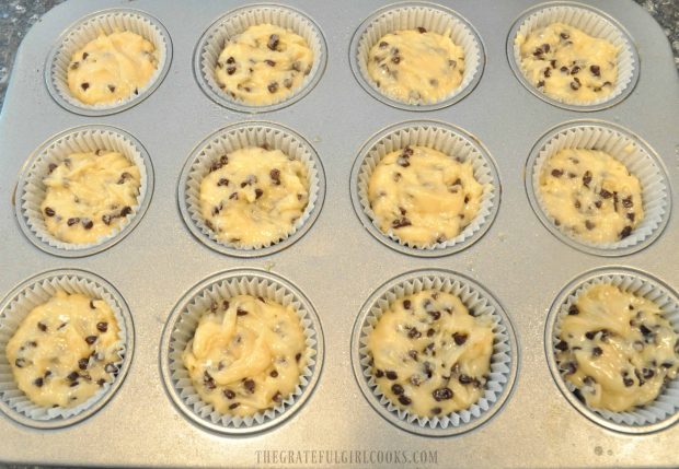 12 chocolate chip muffins in muffin pan