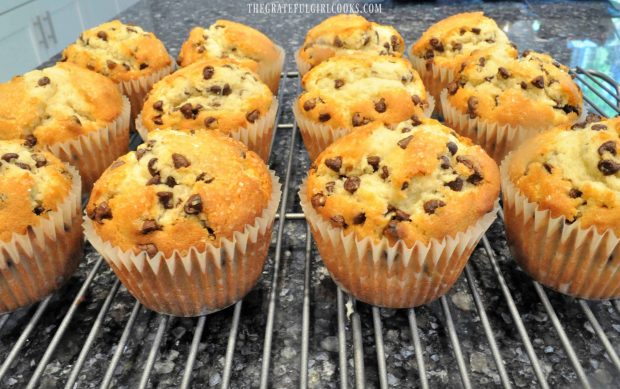 Baked muffins cooling on wire rack