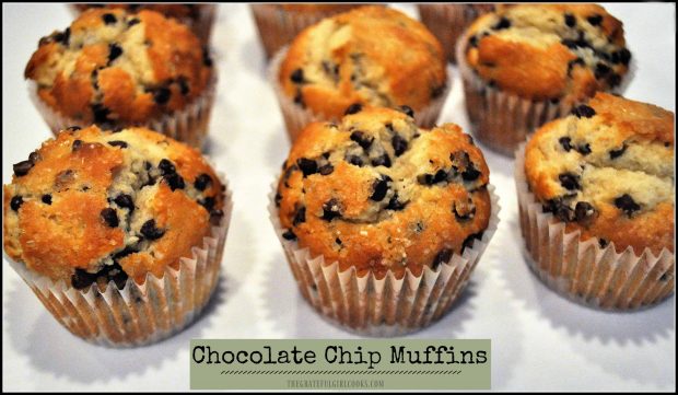 Chocolate Chip Muffins will be a family favorite for breakfast or a light snack, and they're easy to make!