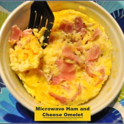 https://www.thegratefulgirlcooks.com/wp-content/uploads/2018/01/Micowave-Ham-and-Cheese-Omelet-500x500.jpg