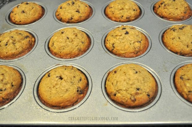 Banana muffins baked and golden brown in muffin tin