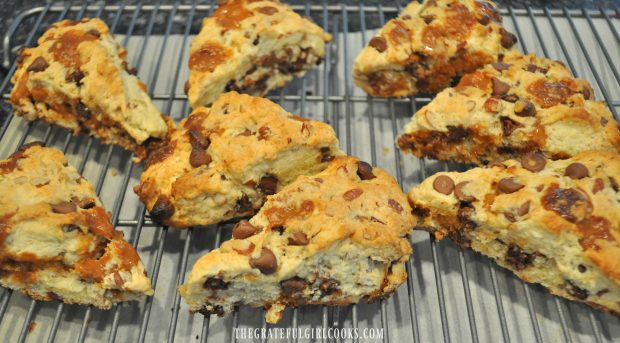 Eight baked chocolate caramel scones, cooling on wire rack