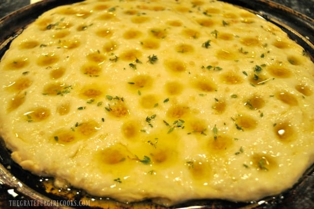 Focaccia dough, covered with olive oil, garlic and thyme before baking