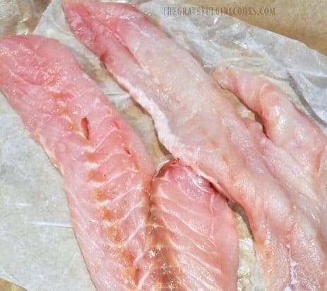 Rockfish fillets, used to make Grilled Fish Tacos