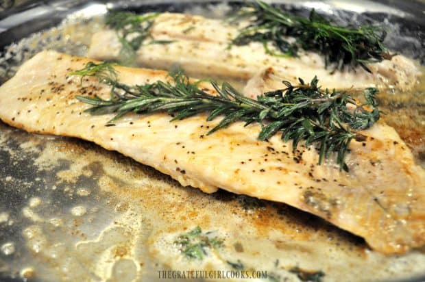 Rockfish fillets cooking, with rosemary and other fresh herbs on top