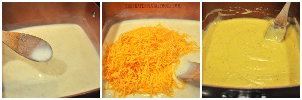 Cheddar cheese is added to thickened au gratin sauce