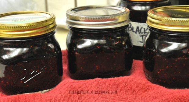 Homemade blackberry jam, processed in jars and ready to store in pantry