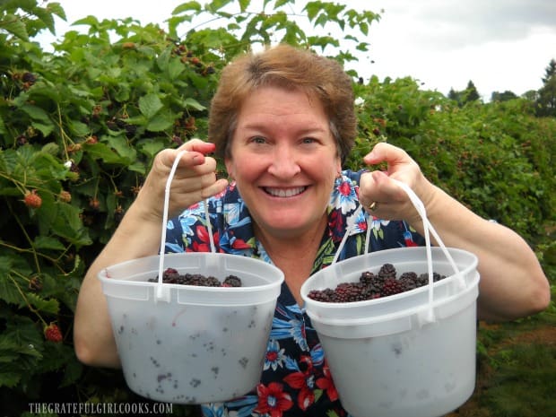 Picking fresh blackberries at a local farm!