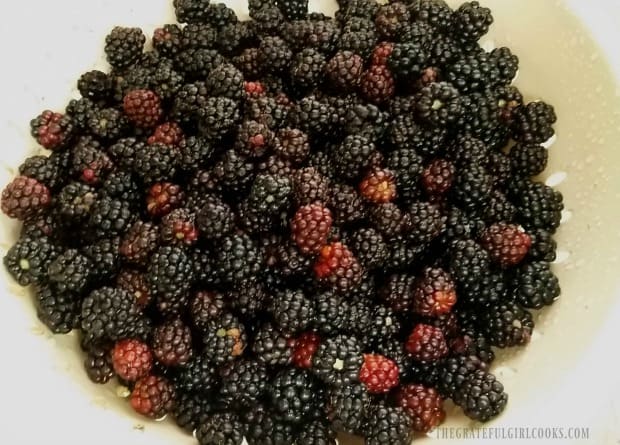 Rinsing blackberries in a colander, before making jam