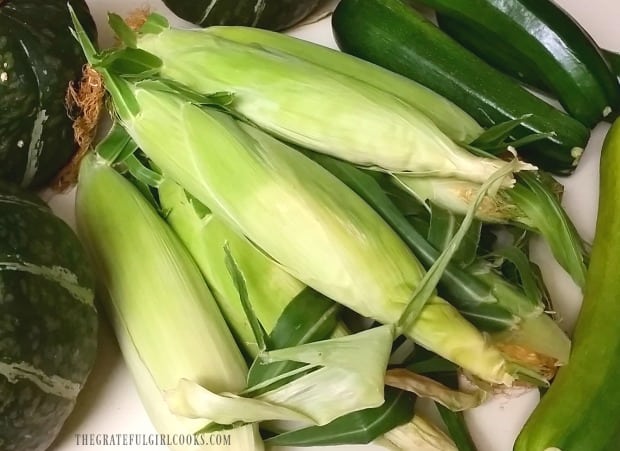 Fresh picked corn, ready to cook!