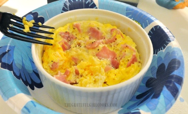 Microwaved ham cheese omelet right out of the microwave!