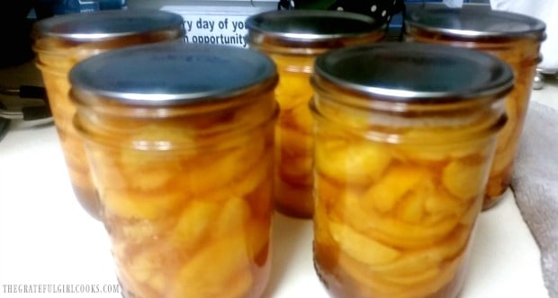 Jars of sliced peaches are canned, and ready for pantry!
