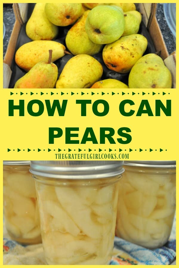 Preserve summer's fruit bounty for long term storage in the pantry by learning how to can pears (fresh and ripe) using a water bath canner!