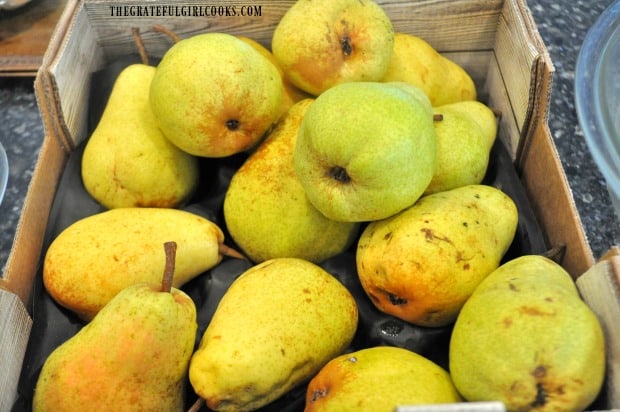 Fresh picked Anjou pears, ready to be canned for long term storage!