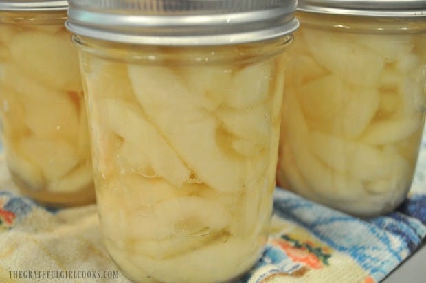 After processing, jars of canned pears cool on dish towel before labeling and storing.