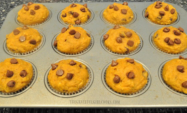 Pumpkin chocolate chip muffins cooling down, after baking.