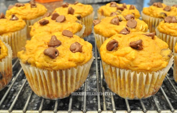 Close up photo of pumpkin chocolate chip muffins, on wire rack.