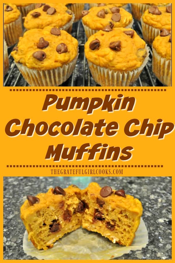 Pumpkin chocolate chip muffins are a yummy Fall breakfast treat! Made with Greek yogurt and no oil, they are light, delicious, and easy to make!