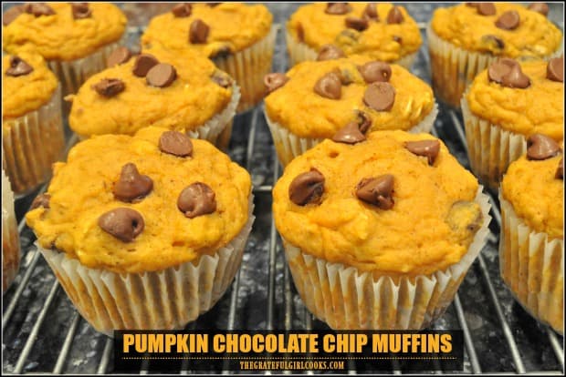 Pumpkin chocolate chip muffins are a yummy Fall breakfast treat! Made with Greek yogurt and no oil, they are light, delicious, and easy to make!